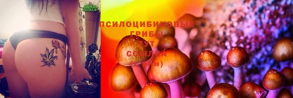 не бодяженный Нефтекумск