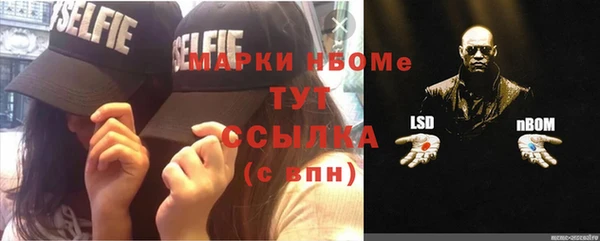 индика Болохово