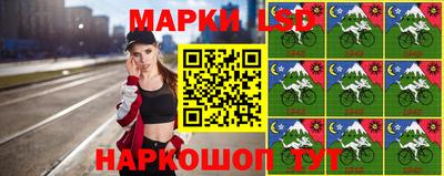 гидра Будённовск