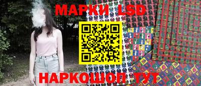 гидра Будённовск