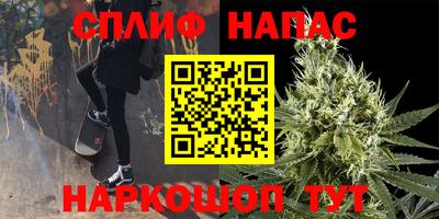 гидра Будённовск