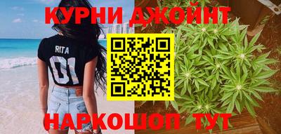 гидра Будённовск