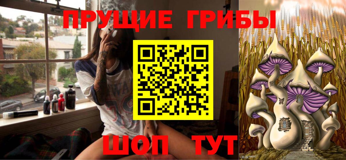 Псилоцибиновые грибы GOLDEN TEACHER Североморск