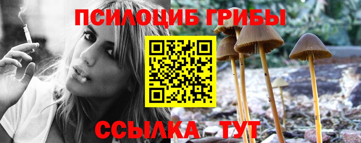 Североморск  Псилоцибиновые грибы GOLDEN TEACHER  Вход с VPN 